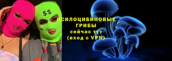 тгк Абаза