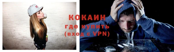 тгк Абаза
