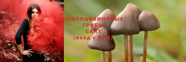 прущая мука Абинск
