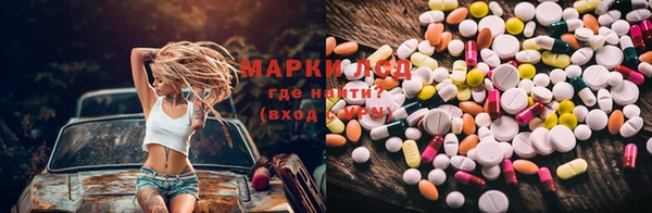 ECSTASY Алзамай