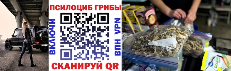 mega онион  Тында  Псилоцибиновые грибы Psilocybe 
